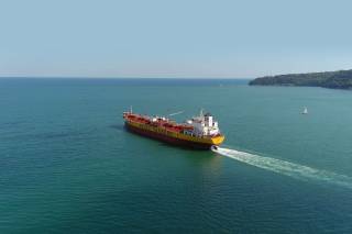 Stolt Tankers launches partnership with We Forest and One Tree Planted