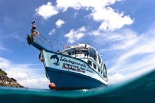 5 Tips to Help You Find a Scuba Liveaboard