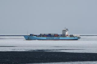 Seafarer remains missing after falling overboard the Maersk Patras