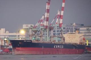 d’Amico Group Joins Supramax RSA