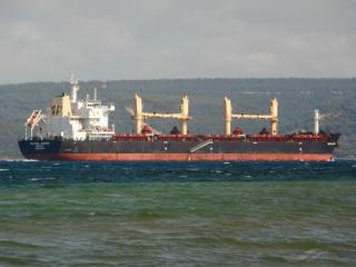 Eagle Bulk Shipping takes delivery of  mv Copenhagen Eagle