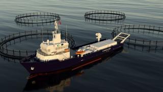 Complete fish handling system to delousing vessel