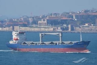 Ten Turkish sailors seized by pirates off Nigerian coast