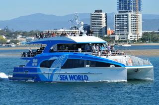 Australia's Most Advanced Whale Watching Vessel Operating in the Gold Coast