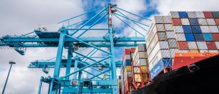 CSP Zeebrugge Terminal, Part of COSCO SHIPPING Ports, Goes Live with Navis N4