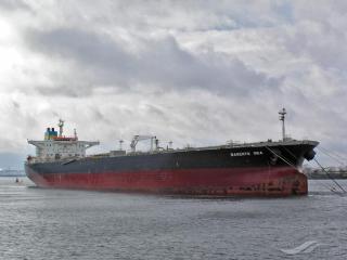 Singapore-flagged vessel released after being seized off Cameroon