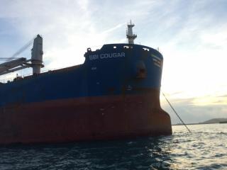 Scorpio Bulkers Announces the Sale of Two Ultramax Vessels for $37.9 Million