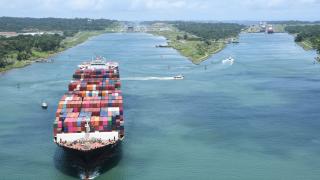 The Panama Canal Implements Speed Limits to Protect Whales