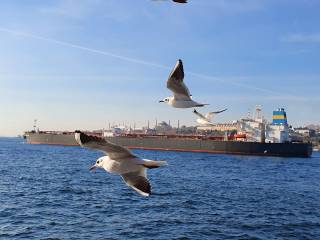 Eastern Pacific Shipping and Rio Tinto enter charter for up to six dual-fuel LNG dry bulk carriers