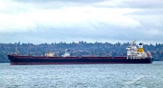 Diana Shipping Announces the Sale of Panamax Bulker Clio