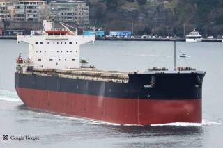 Diana Shipping Inc. Announces Delivery of the Kamsarmax Dry Bulk Vessel mv Leonidas P. C. and Time Charter Contract for mv Seattle with Solebay
