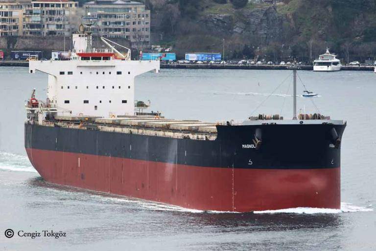 Diana Shipping Inc. Announces Delivery Of The Kamsarmax Dry Bulk Vessel ...