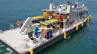 HullWiper: Hull Cleaning in South Korea
