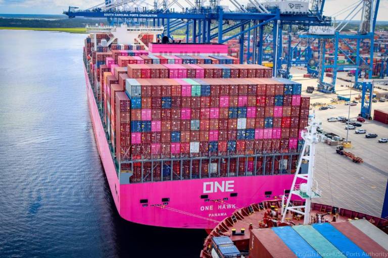 SC Ports achieves highest July on record for containers - VesselFinder