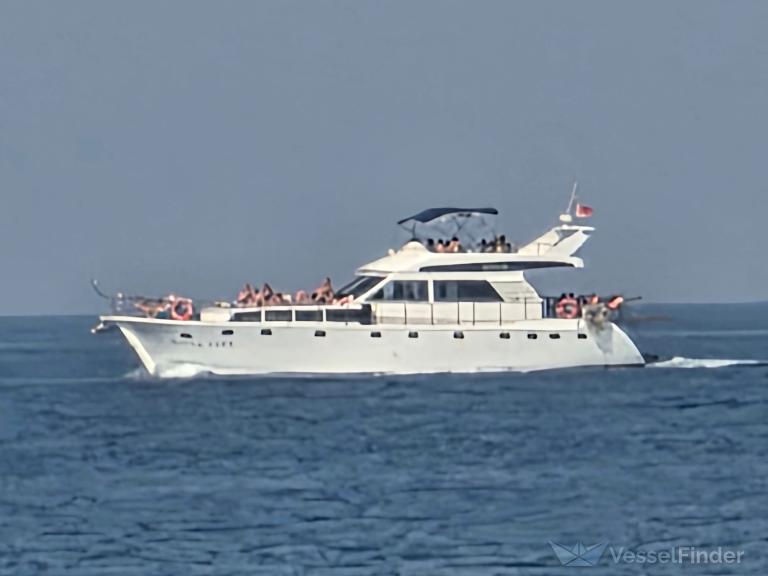 ROSE LINE photo