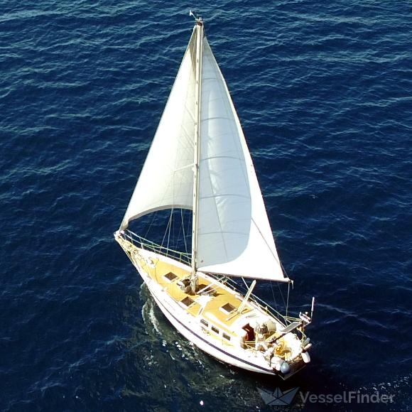 MIZZI SOLO SAILOR photo