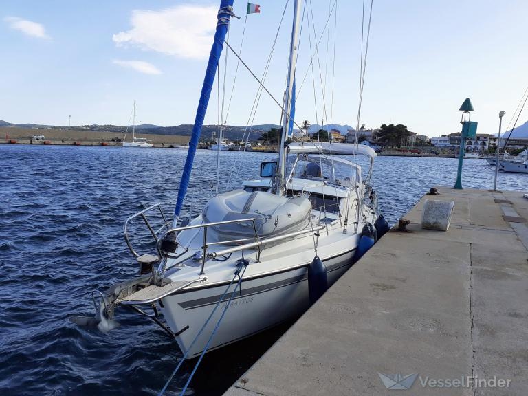 ALBATROS photo