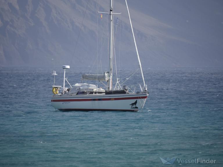 WOLF SOLO SAILOR photo