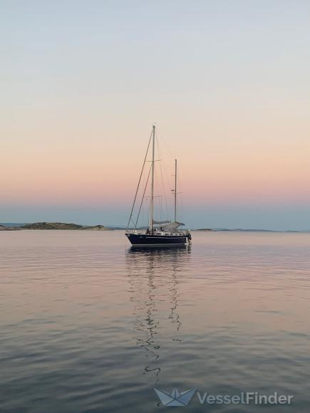 SY MISS MONEYPENNY photo