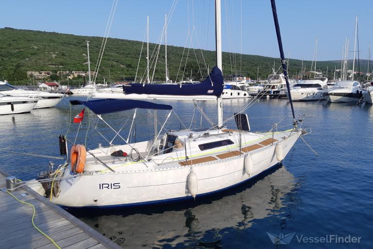 SY IRIS photo