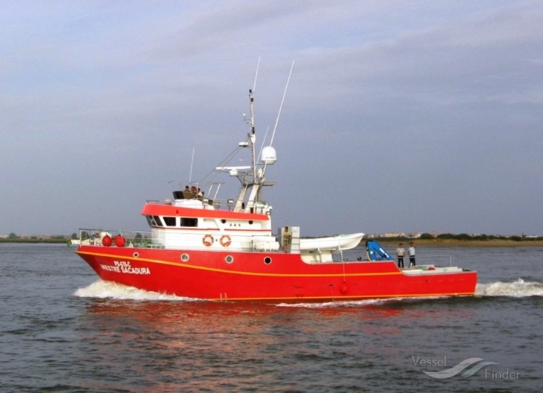 MESTRE SACADURA photo