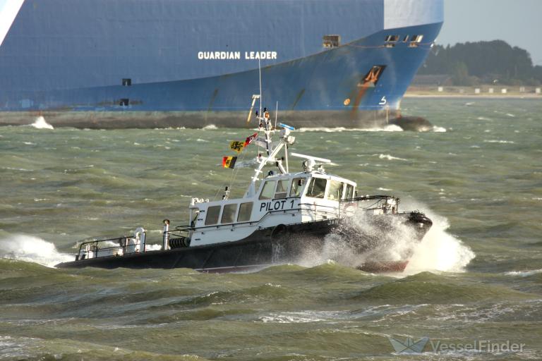 J. BREYDEL SURVEY photo