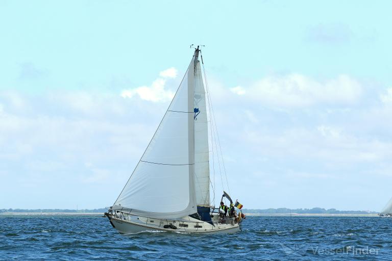 DRUMLIN photo