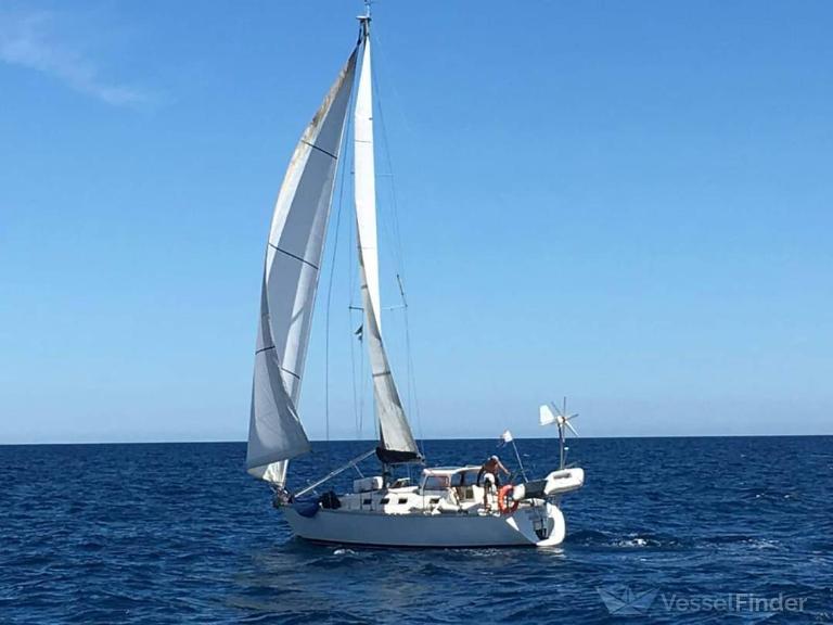 BLAU U SOLO SAILING photo