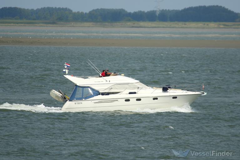 SEAGULL photo