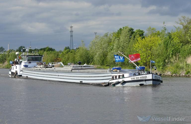 ROSE DES SABLES photo