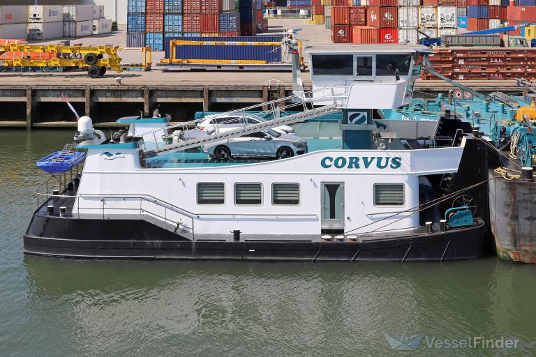 CORVUS