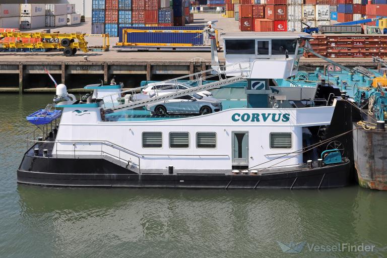 CORVUS, Cargo ship - Scheepsdetails en huidige positie - MMSI 205320790 ...