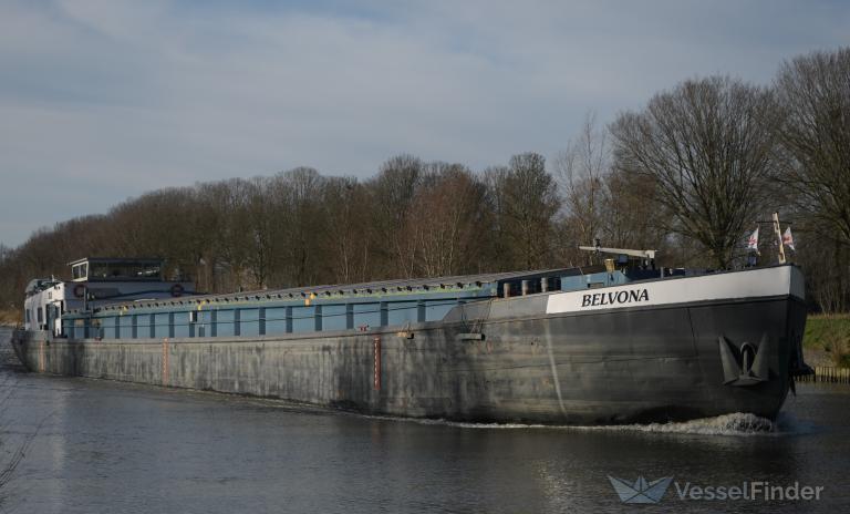 BELVONA photo