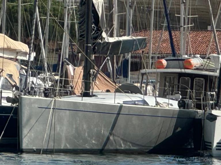 COUP DE TETE VII photo