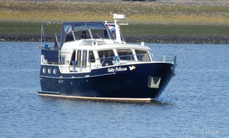 SALTY PELICAN photo
