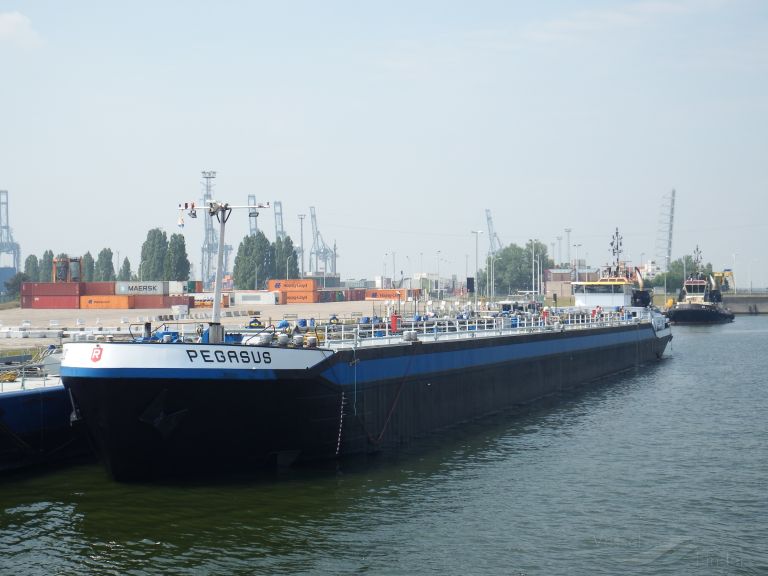 PEGASUS, Tanker (HAZ-C) - Details and current position - MMSI 205346790 ...