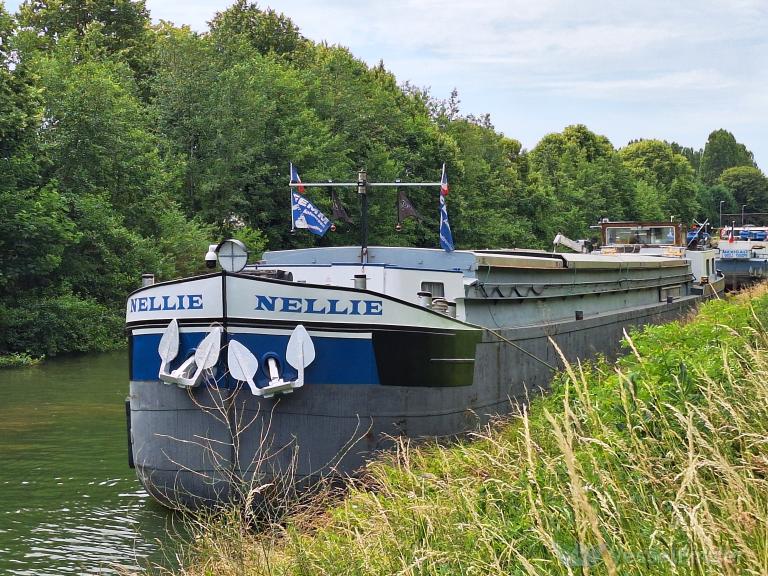 NELLIE photo