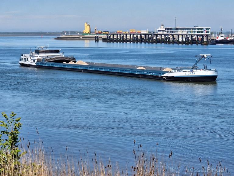 TIGRIS photo