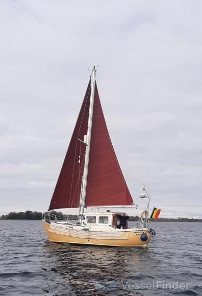 HADDOCK photo
