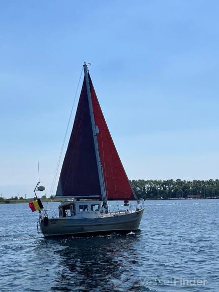 HADDOCK photo