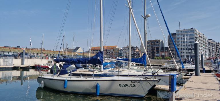 BIGGLES photo