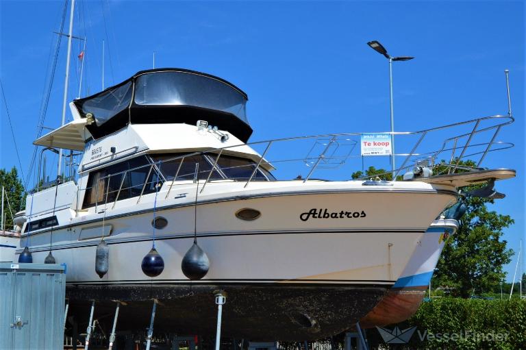ALBATROS photo