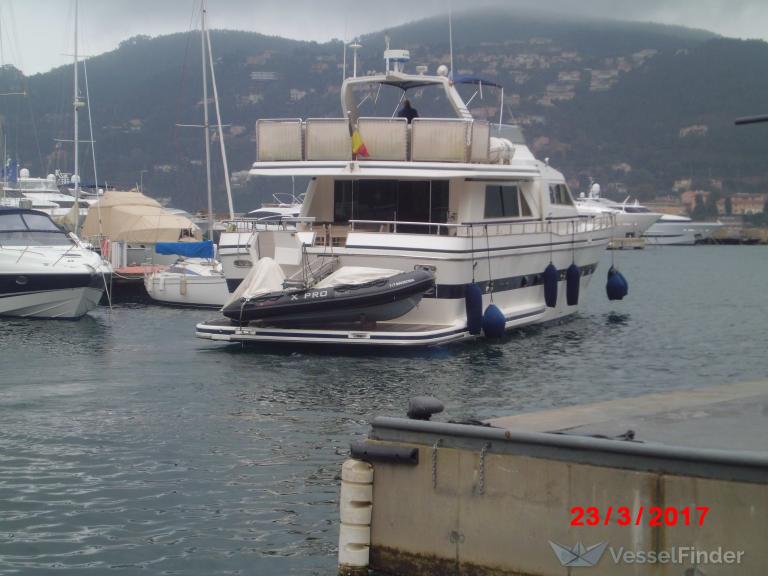 MANSONIA photo