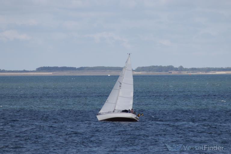 ZOEF photo