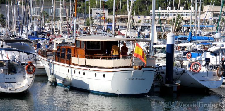 SILVER ROMANCE photo