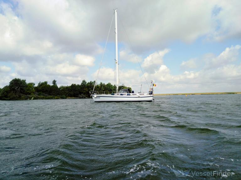 ZOUTELIEF photo
