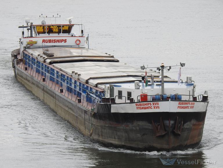 RUBISHIPS XVII photo