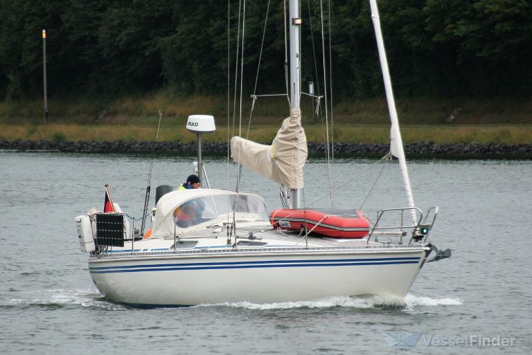SY AVALON photo