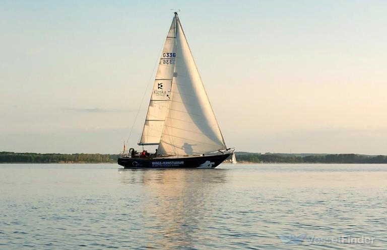 WOW WINGS OF WISMAR photo