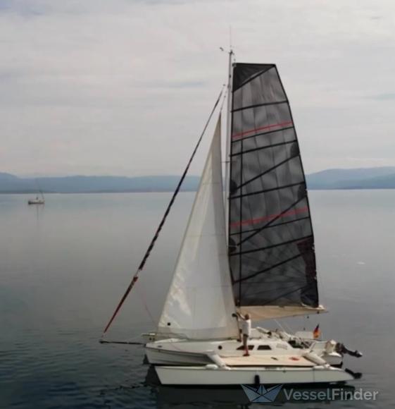SILVER-SURVER photo